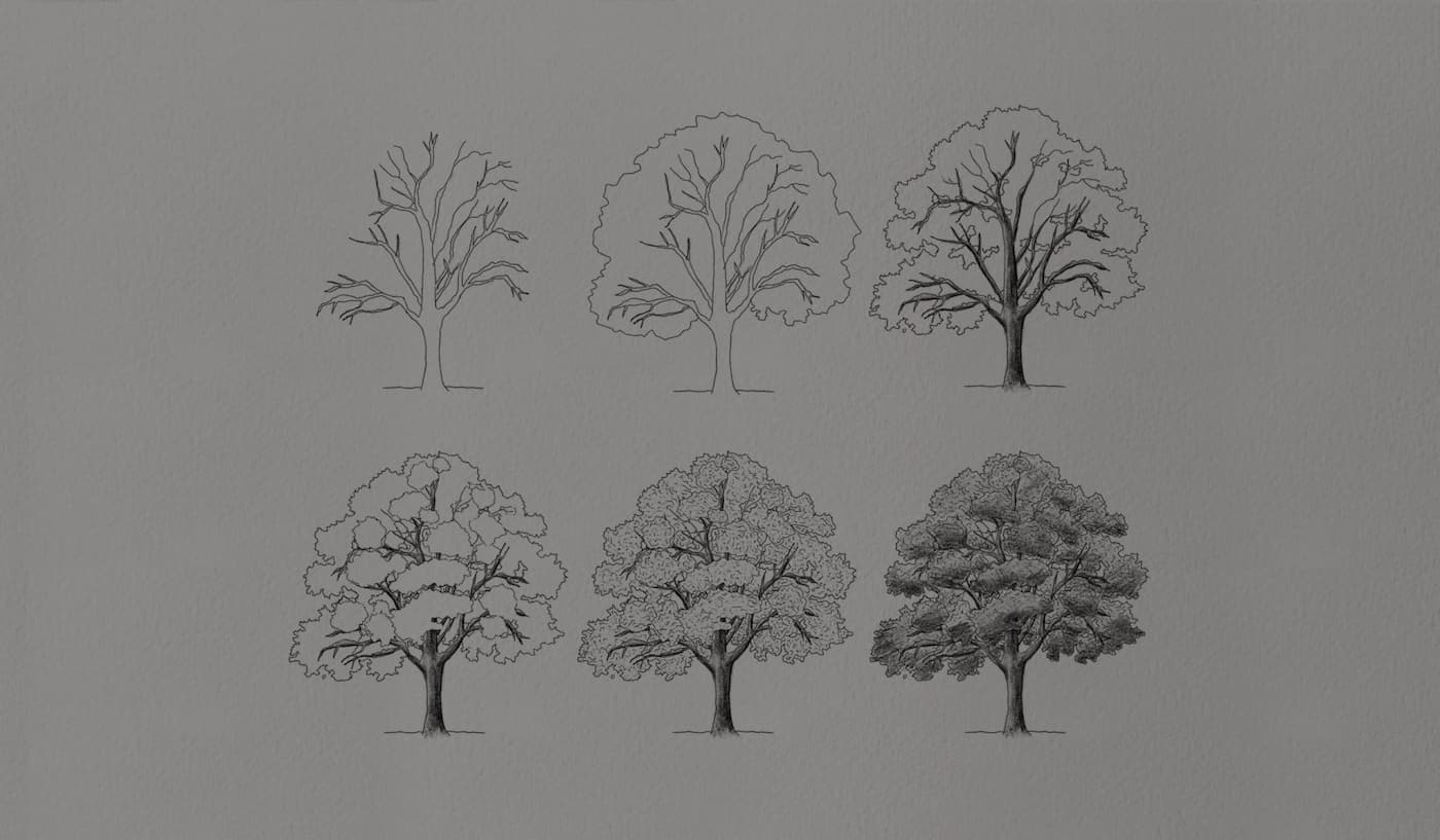 Trees Drawing Tutorials